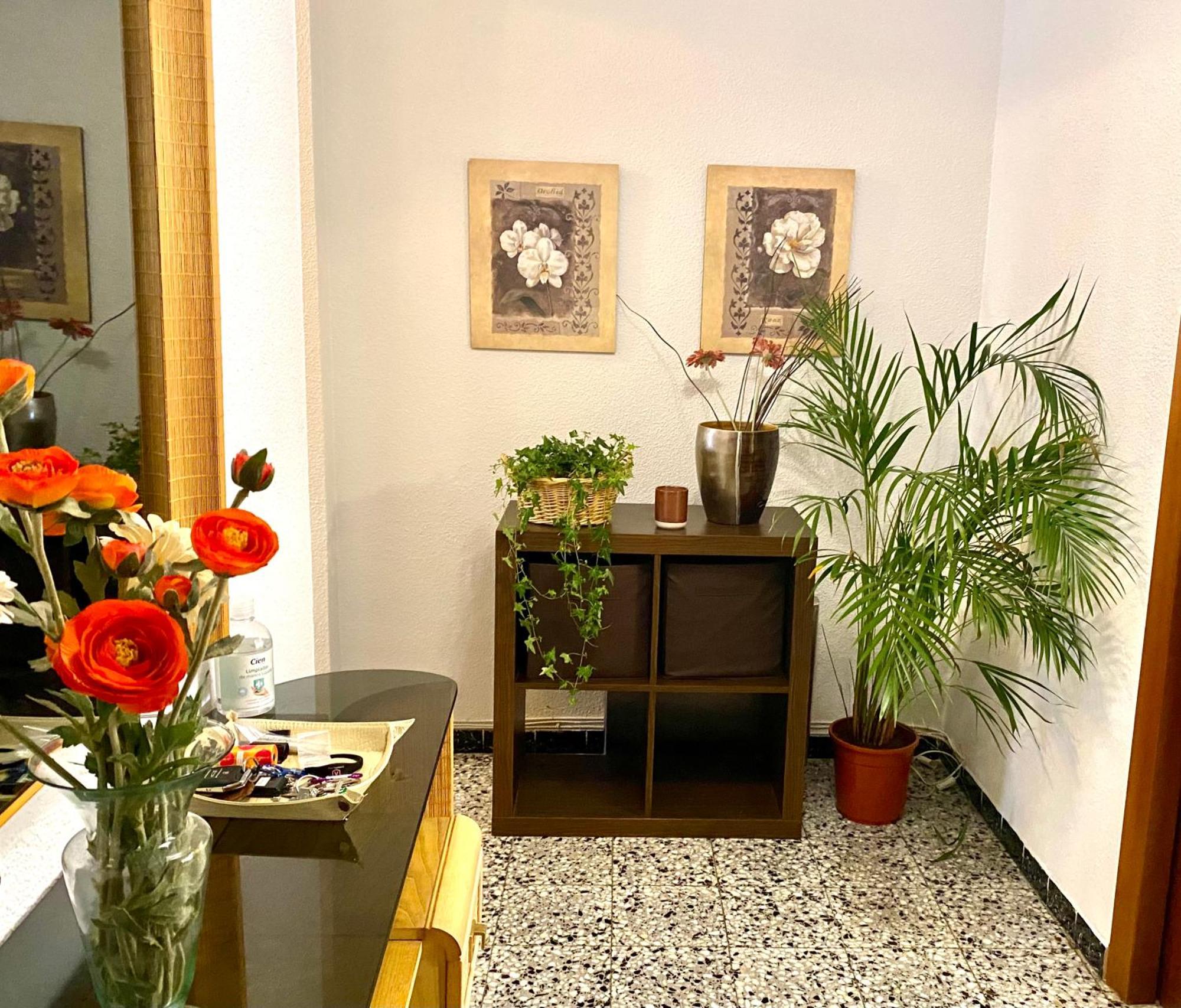 Habitacion My Home Alicante Eksteriør bilde